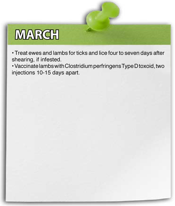 March Shepherd Schedule